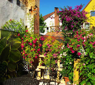 Herrliche Pflanzenschau