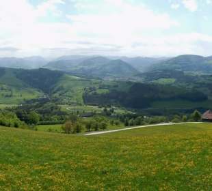 Blick auf´s Mostviertel
