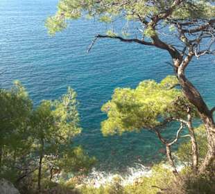 Auf dem "Sentier Littoral"- Wanderweg (Küstenwanderweg)