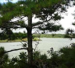 Auffahrt zum Simonet Berg