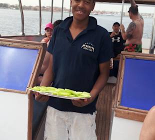 Tour am 21.05.2014 Mogli - Delfine & Freunde 