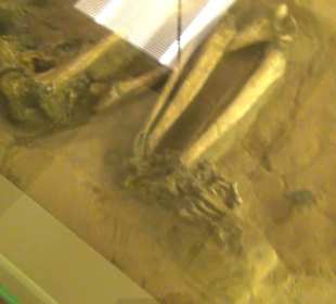 Niedersächsisches Landesmuseum