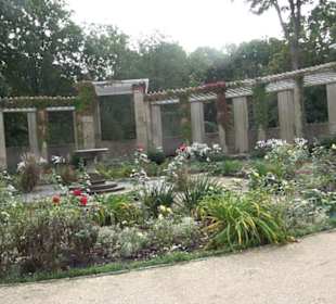 Rosengarten im Tiergarten