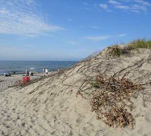 Plaża Wicie
