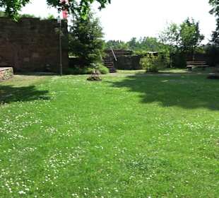 Schlossruine Wildberg