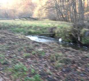 Schönbuch Schaichtal