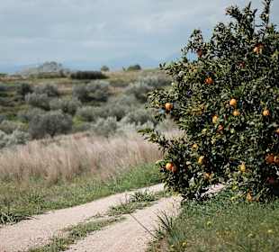Wandern Nafpilo