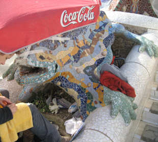 Der Salamander braucht Schatten