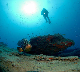 Impressionen Muränenriff Jandia