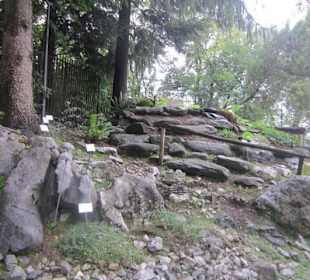 Botanischer Garten Bergamo