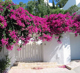 Vom Bahnhof zum Byrsahügel
