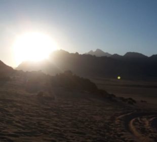 Ein Tag in der Wüste