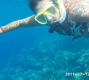 Snurkowanie na rafie Harmony