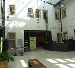 Foyer des Museums für Naturgeschichte