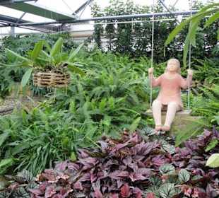 Raffeiner Orchideenwelt