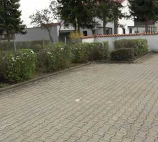 Friedhof Suppingen
