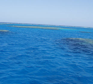 Satayi Dolphin House
