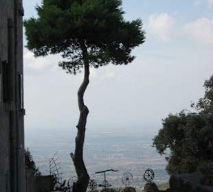 Offenes Museum für Ackergerätekunde