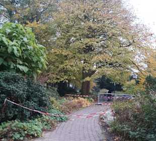 Parkanlage Planten un Blomen