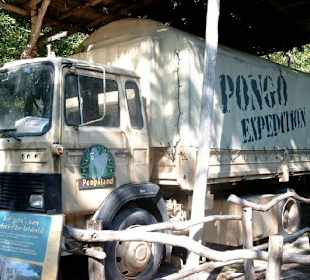 Pongo Expedition