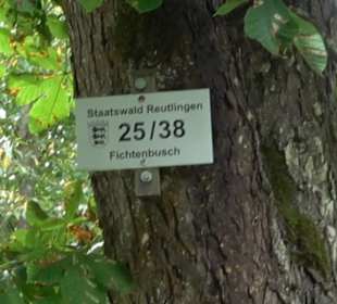 Sonnenaufgangs-Rundwanderung Rübgarten