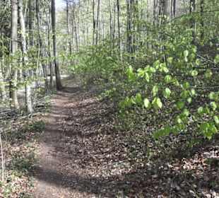 Wanderweg Hochgehkämpft