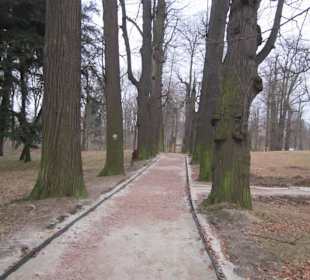 Schloss Fürstenstein ( Ksiaz )