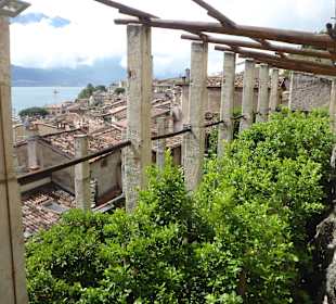 Zitronengewächshaus in Limone