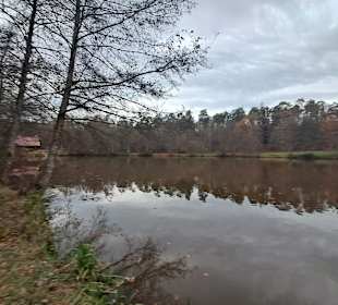 Naherholungsgebiet Jägersburg in Homburg 