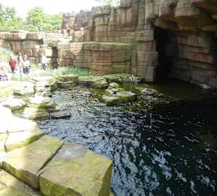 Tierpark Hagenbeck