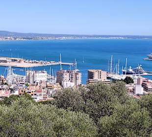 Stadtrundfahrt Palma