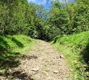 Der Spazierweg zum Grand Étang