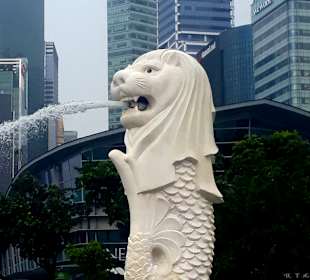 Merlion MBS