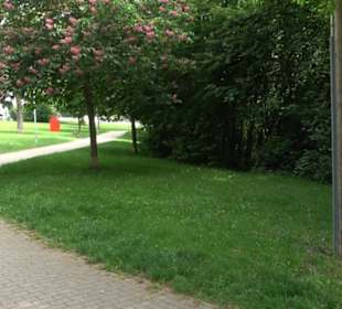 Kunst- und Sinnespfad