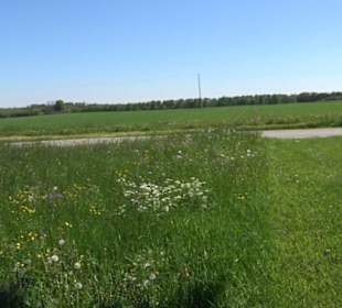 Historischer Rundgang Magolsheim