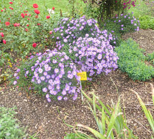 Kurpark