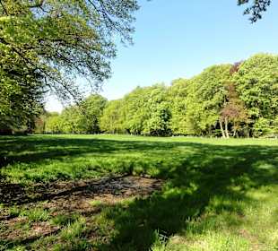 Spaziergang durch Muhles Park