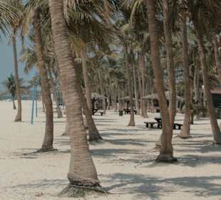 Jumeirah Beach Park