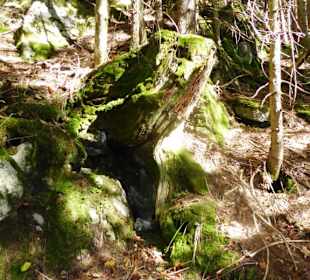 Rundwanderung Spitzingsattel