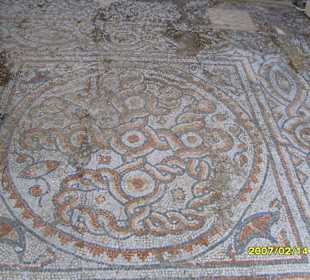 Ein schönes Fussboden-Bild!