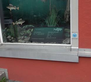 Montfort'sches Amtshaus