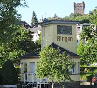 Ansichten des Binger Pegels