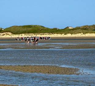 Wattwanderung Föhr - Amrum