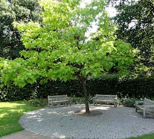Spaziergang durch den Rosengarten