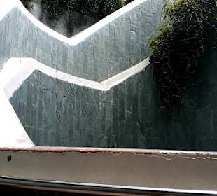 Tree Tunnel Fort Canning Park