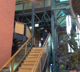 Meeresmuseum Stralsund