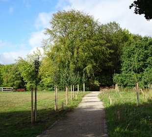 Spaziergang durch den Mühlenkamp-Park