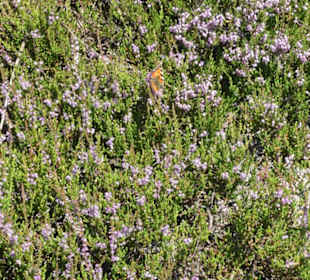 Wanderung Kleiner Arber