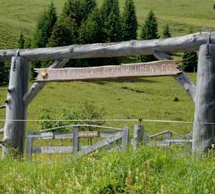 Heilkräuter- und Alpenblumenweg