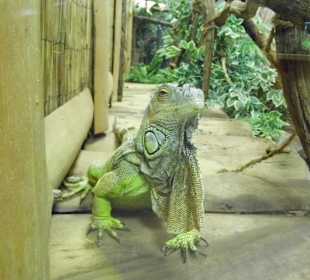 WP LH Herbst Impression